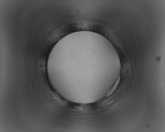 X0000089370466200707131640