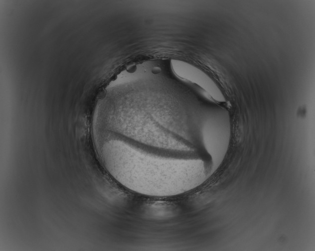 X0000089370467200707131640