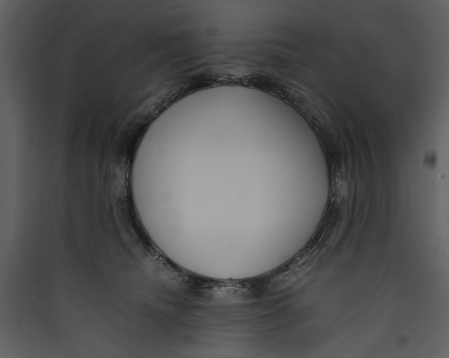 X0000089370468200707131640