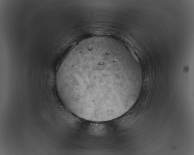 X0000089370469200707131640