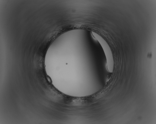 X0000089370470200707131640