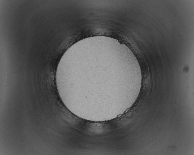 X0000089370473200707131640