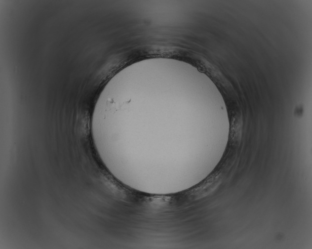 X0000089370474200707131640