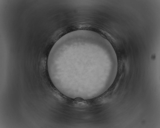 X0000089370475200707131640