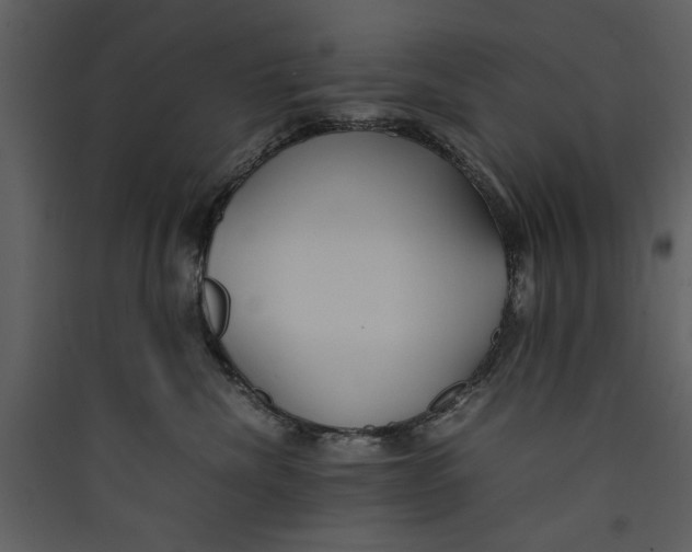 X0000089370476200707131640