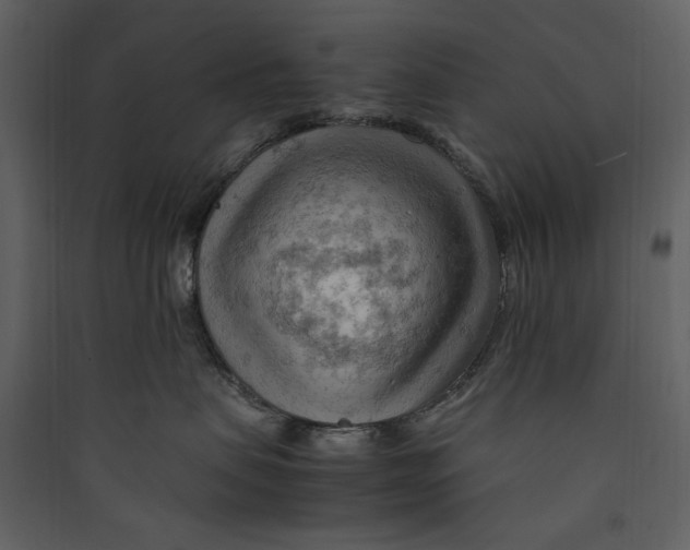 X0000089370479200707131641