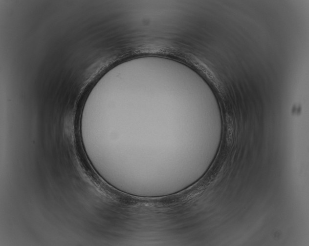 X0000089370482200707131640