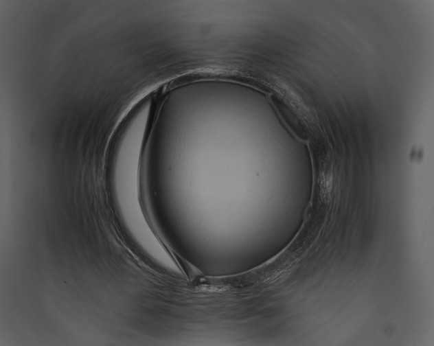 X0000089370484200707131640