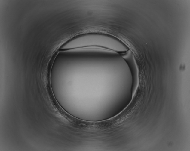 X0000089370485200707131640