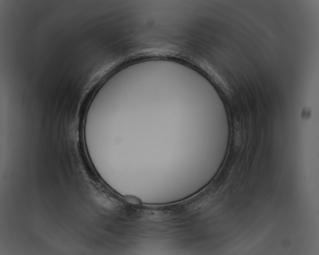 X0000089370486200707131640