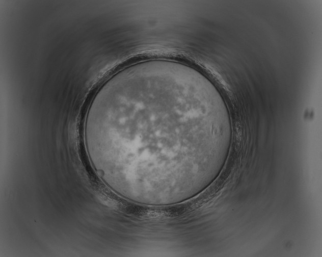 X0000089370487200707131640