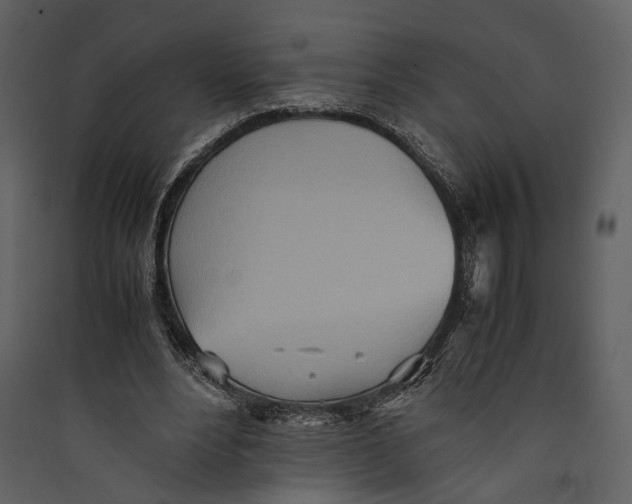 X0000089370488200707131640