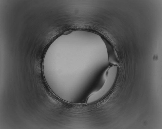 X0000089370489200707131640