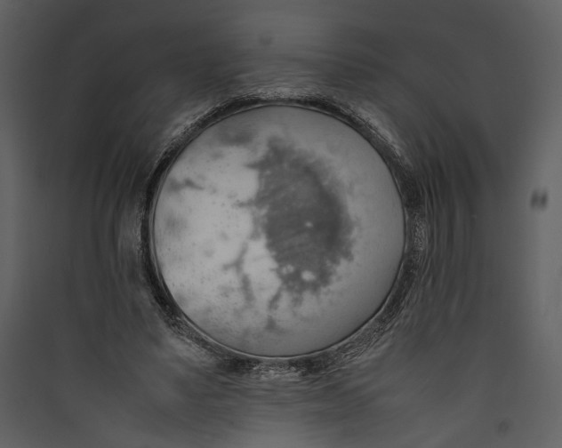 X0000089370491200707131640