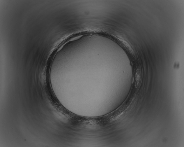 X0000089370492200707131640