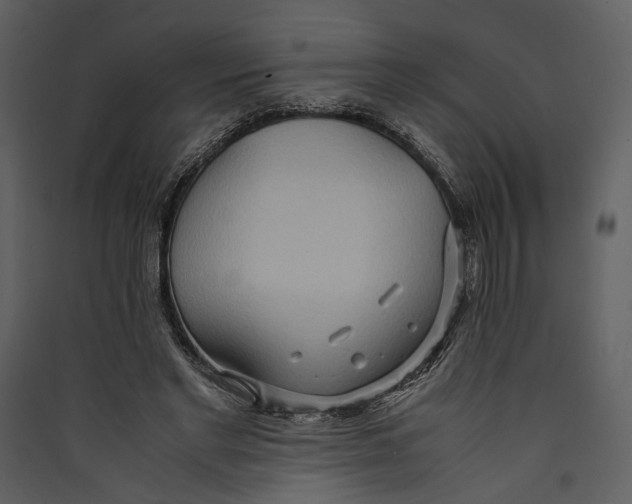 X0000089370493200707131640