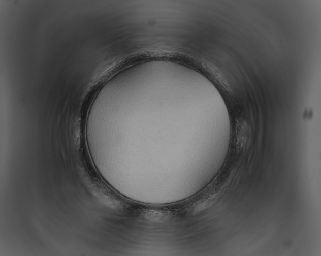 X0000089370494200707131640