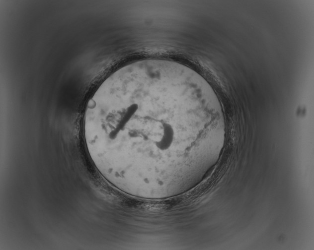 X0000089370495200707131640