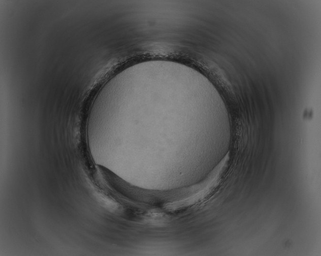 X0000089370496200707131640