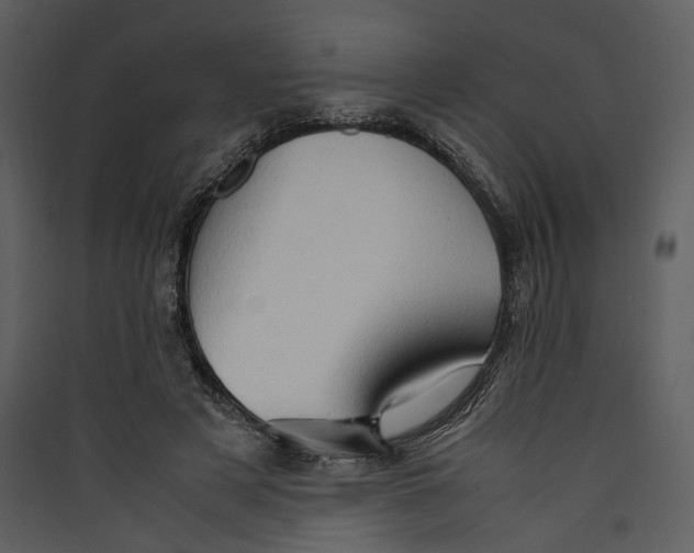 X0000089370497200707131640