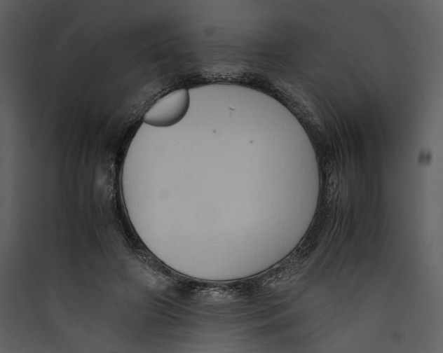 X0000089370498200707131640