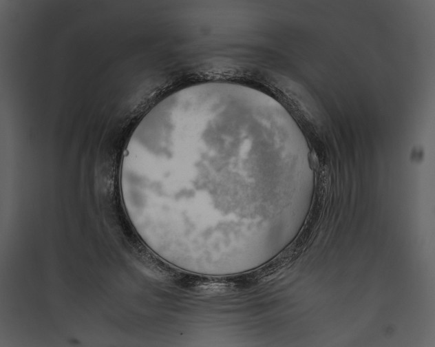 X0000089370499200707131640