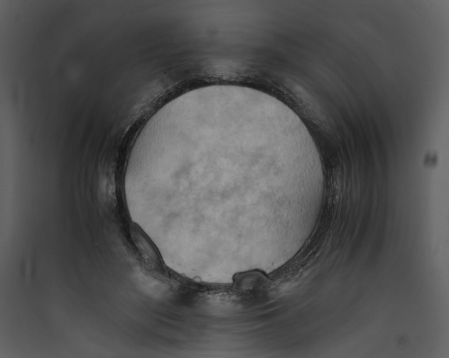 X0000089370500200707131640