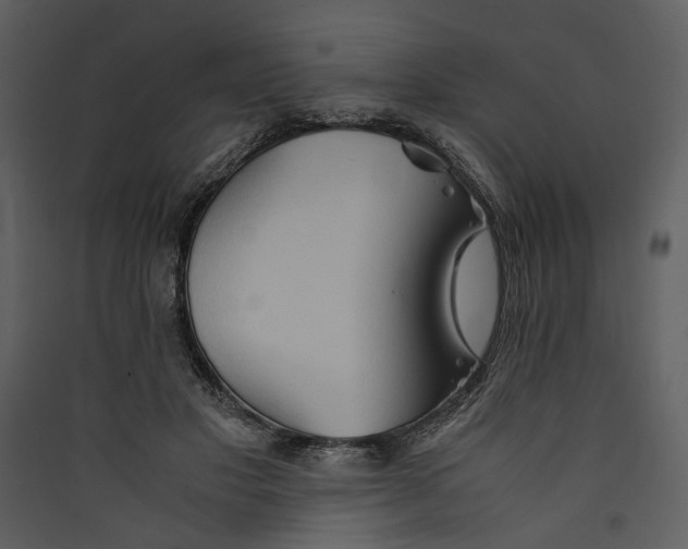 X0000089370501200707131640