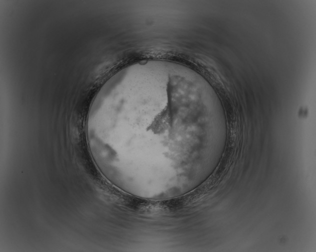 X0000089370503200707131640