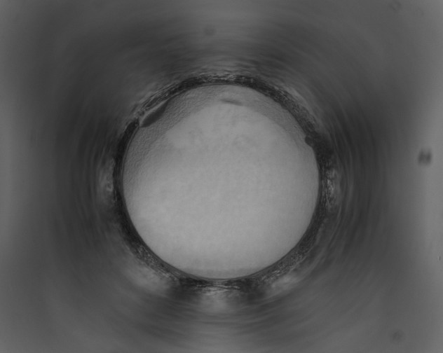 X0000089370504200707131640