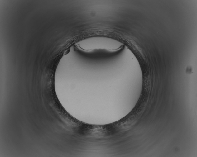 X0000089370505200707131640