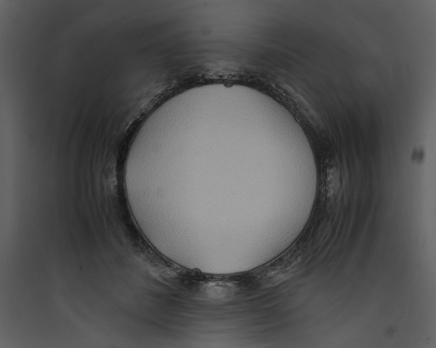 X0000089370508200707131640