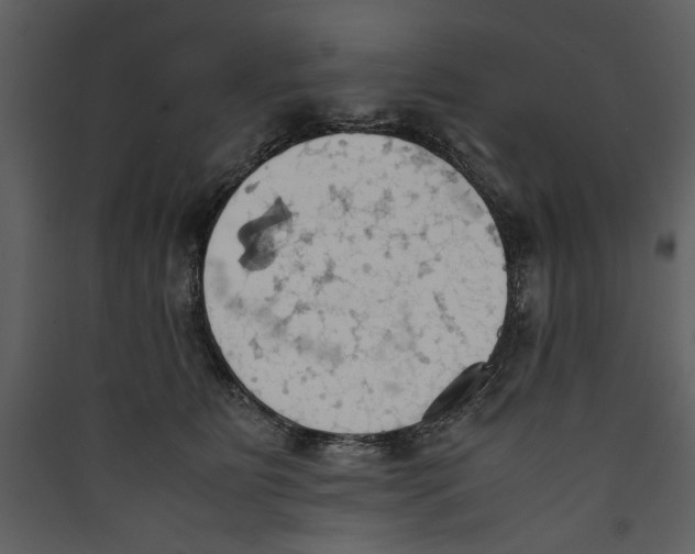 X0000089370515200707131639