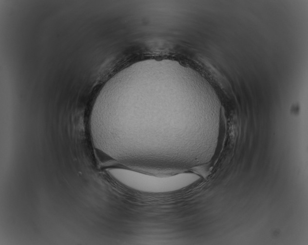 X0000089370516200707131639