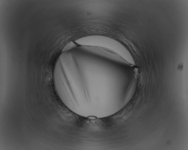 X0000089370517200707131639