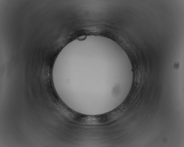 X0000089370518200707131639