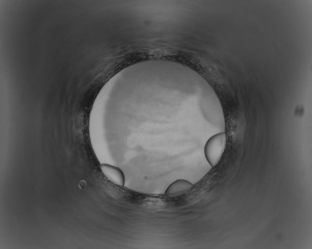 X0000089370519200707131639