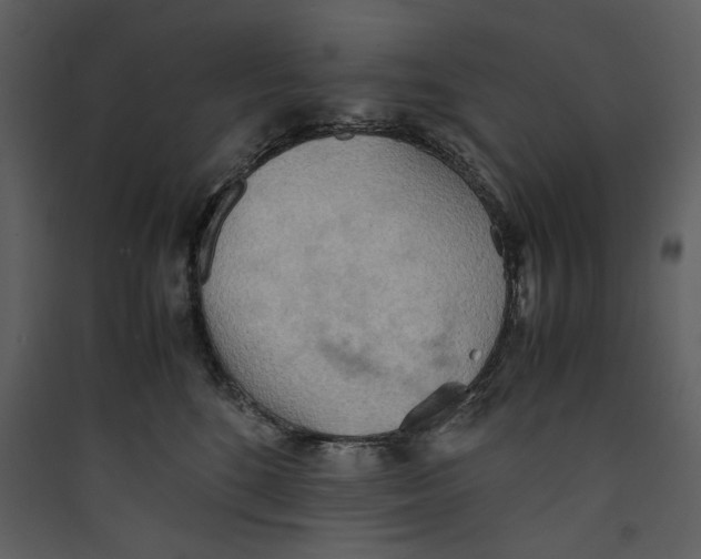 X0000089370520200707131639