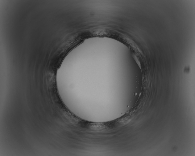 X0000089370521200707131639