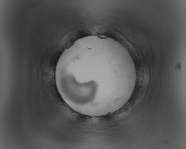 X0000089370523200707131639