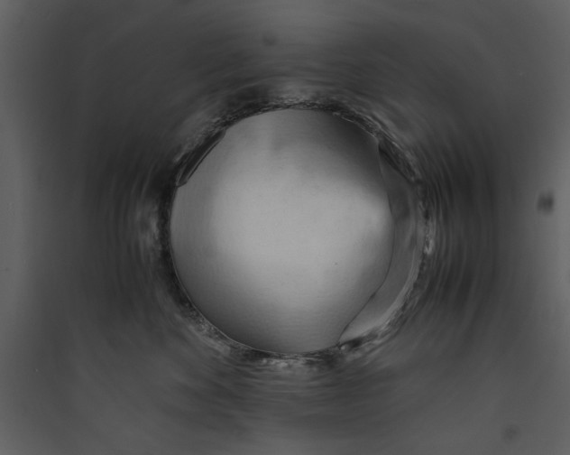 X0000089370524200707131639