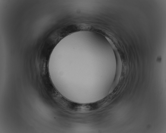 X0000089370525200707131639