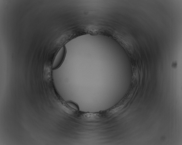 X0000089370526200707131639