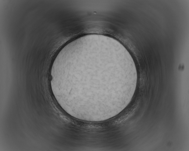 X0000089370529200707131639