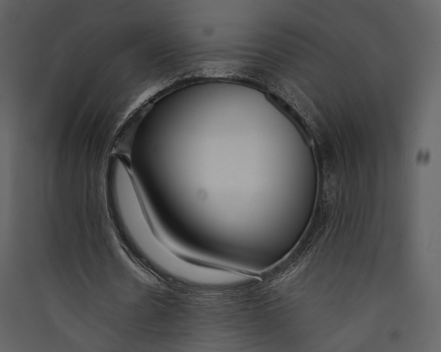 X0000089370530200707131639