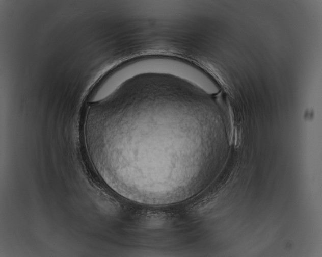 X0000089370531200707131639