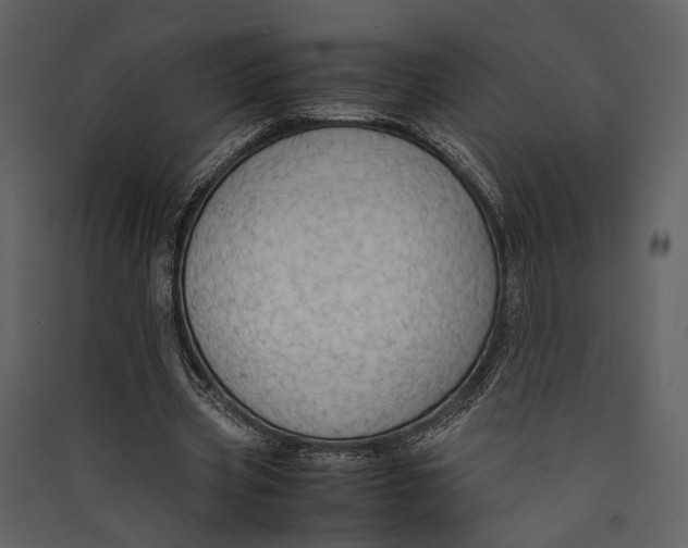 X0000089370533200707131639