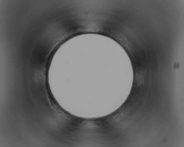 X0000089370534200707131639