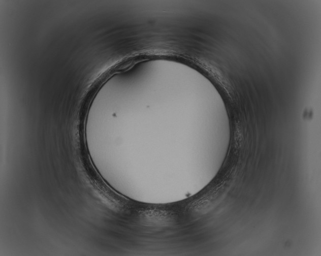 X0000089370535200707131639