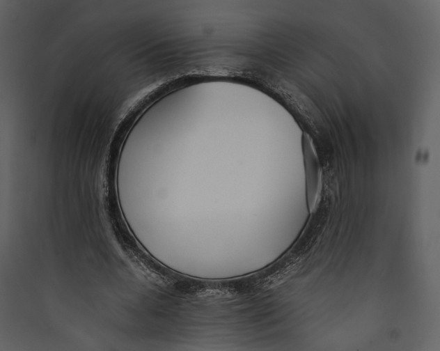 X0000089370536200707131639